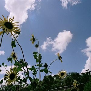 Meet your Posher, Mandy